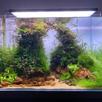 David Pospisil - @naturalsick_world - Instagram