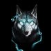 David Pospisil - Facebook
