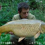 David Postle - @dpostle_carping - Instagram