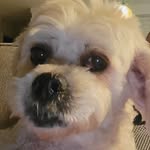 David Potvin - @davidboy7912 - Instagram