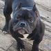 David Premo - Facebook