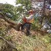 David Prentice - @davidprentice7 - TikTok