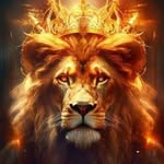 David Pretorius - @david.pretorius.33 - Instagram