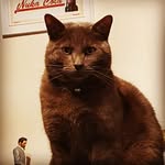 David Pretorius - @duskbeam - Instagram