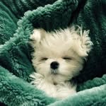 David Pretorius - @pretorius607 - Instagram