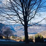 David.Pretorius - @david.pretorius8 - Instagram