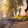 David Priebe - @david.priebe - TikTok
