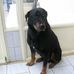 David Priem - Facebook