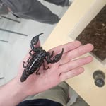 David Provençal - @davidprovencal09 - Instagram