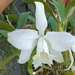 David Provencal - @divad_12321 - Instagram