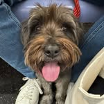 David Pullins - @davidpullins - Instagram