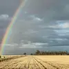 David Puls - @david.puls - TikTok