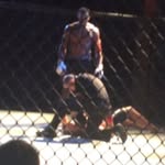David Punch - @davidpunchmma - Instagram