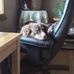 David Stewart Purinton - Facebook
