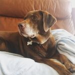 David Pymm - @david.pymm - Instagram