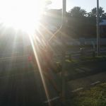 David Quach - @dashofvietnam - Instagram