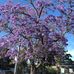 David Quach - Facebook