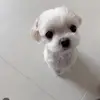 david.quach - @david.quach - TikTok