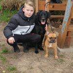 David Rademacher - @rademacher240 - Instagram