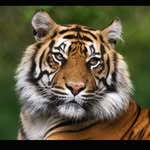 David/rademakers - @david_radenakers020 - Instagram