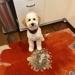 David Radtke - @dradtke66 - Instagram