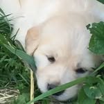 David Raff - @david.raff18 - Instagram