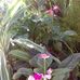 David Raff - Facebook