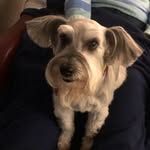 David Ragland - @pop_31745 - Instagram