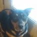 Sean David Ragland - Facebook