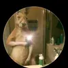 David Rama - @david.rama4 - TikTok