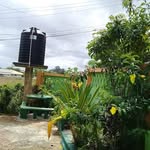 David Rampersad - @david.rampersad.33 - Instagram