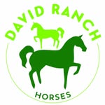 David Ranch - @david_ranch_1 - Instagram