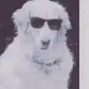 David ranch - @hairytomatoes - TikTok