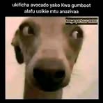David Rancho - Facebook