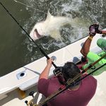 David Rasberry - @rasberrydavid - Instagram