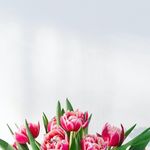 Mary Williams - @davidrauscher5376 - Instagram