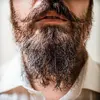 David Raven - @david.raven2 - TikTok