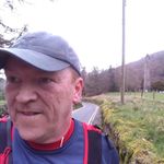 David Reddy - @reddydavid - Instagram