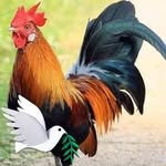 David Reece - @david.reece.142687 - Instagram