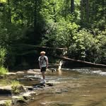 David Reed - @davidreed7199 - Instagram