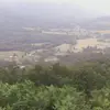 David Reedy - @david.reedy - TikTok