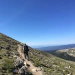 David Reedy - @reedinho.runner - Instagram