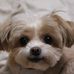David M Reichle - Facebook