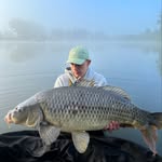 David - @david_reimers7 - Instagram