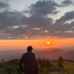 David Reischer - @davidreischer - Instagram