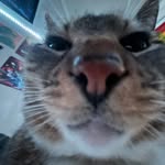 David Reisinger - @david_reisinger192 - Instagram