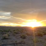 David Reisinger - @david_d_reisinger - Instagram