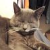 David Reith - Facebook