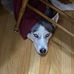 David Remer - Facebook
