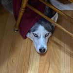 David Remer - @davidremer - Instagram